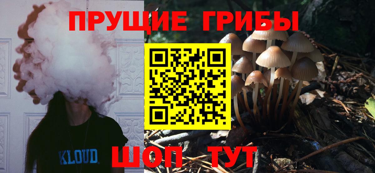 Псилоцибиновые грибы GOLDEN TEACHER Тында