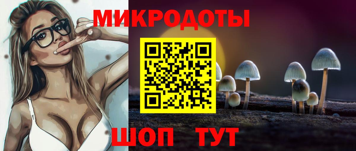 Псилоцибиновые грибы Psilocybine cubensis  Вход с VPN  Тында  Псилоцибиновые грибы Psilocybe 